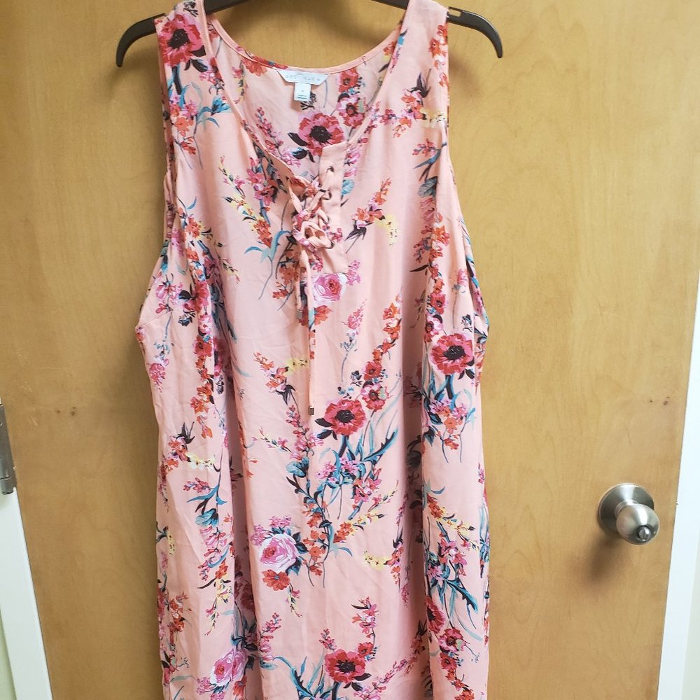 1X Boutique Dress